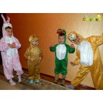 Costume pentru carnaval si serbari