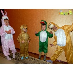 Costume pentru carnaval si serbari